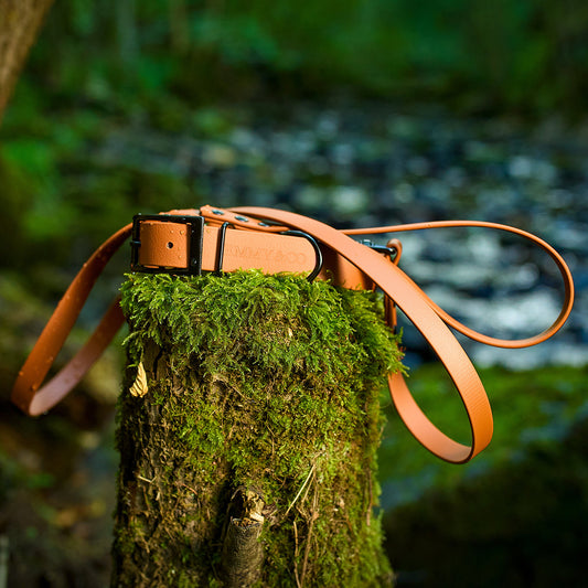 Chestnut waterproof dog accessories, made from high-quality BioThane material