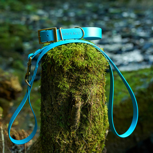 Lagoon waterproof dog accessories, made from high-quality BioThane material