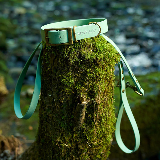 Sage waterproof dog accessories, made from high-quality BioThane material