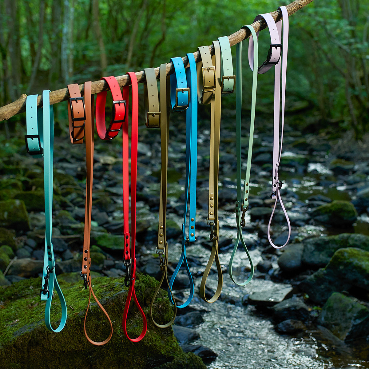 Waterproof dog accessories, made from high-quality BioThane material